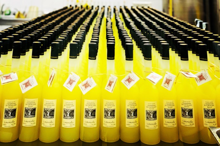 Limoncello Sorrento Food Tours