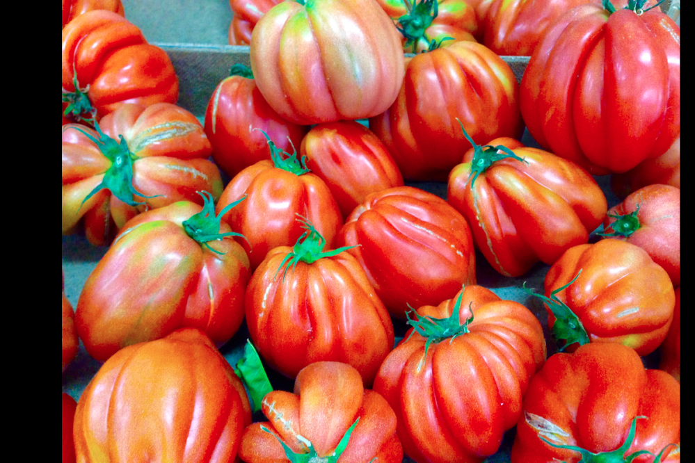 a group of oranges stacked on top of a wooden table
