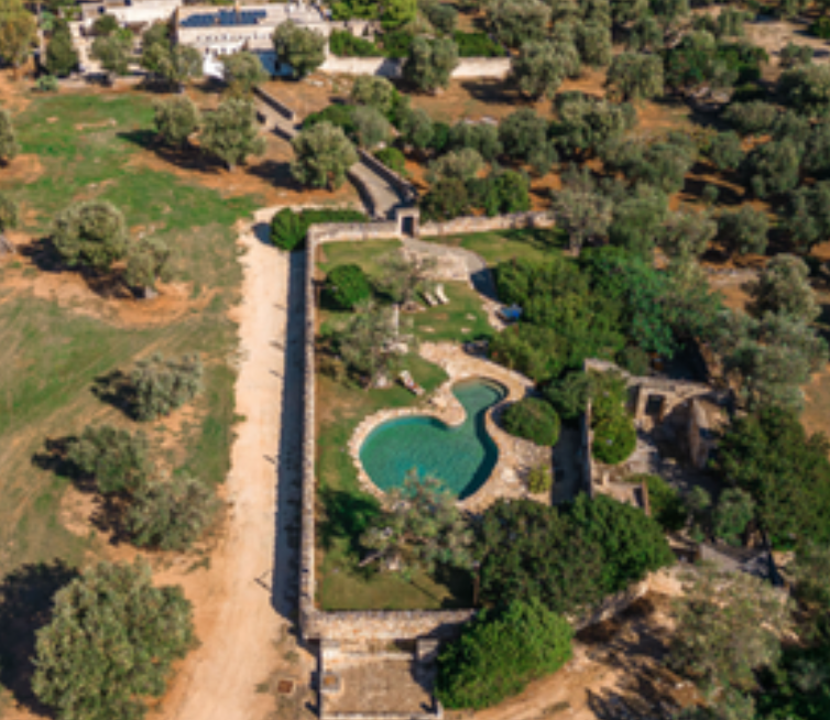 Aerial view of a landscaped area with a pool, surrounded by trees and pathways.